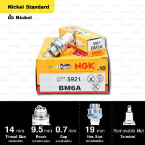 หัวเทียน NGK รุ่น NICKEL STANDARD ขั้ว NICKEL【 BM6A 】หัวเทียนเครื่องตัดหญ้า ( 2 จังหวะ)